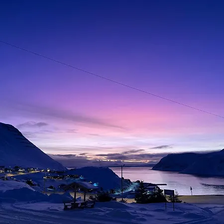 The View 3*